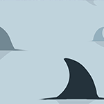 Exclusive Fancy Shark Fins Lining