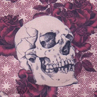 Exclusive Pink Skulls Lining