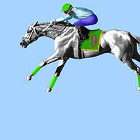 Blue Race Horse Lining