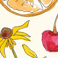 Triple Susan Creme Lining