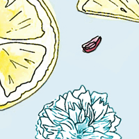 Triple Jewel Light Blue Lining