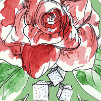 Triple Mint Mint Green Lining