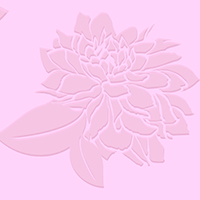 Pink Woven Flower Lining